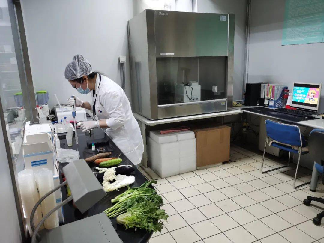 夹江食品检测实验室装修方案